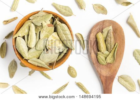 Brazilian Boldo Leaves into a bowl isolated in white background