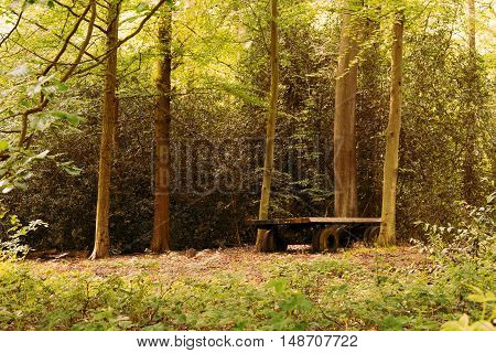 Old Abandond Trailer Left In The Woods