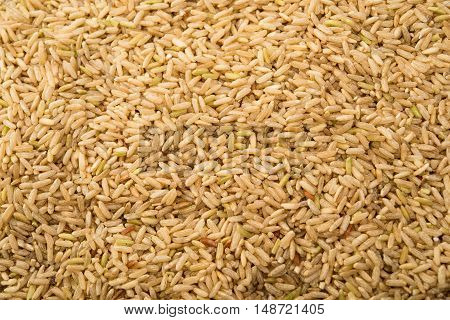 closeup pile of brown rice  indian, ingredient