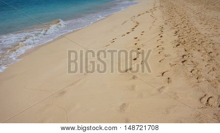 exotic natural beach on sal island in kape verde