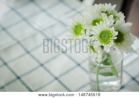 mum, decoration, soft, natural, green, floral, garden, design, bouquet, chrysanthemum, color, white, fall, sweet, blurry, beauty, flower, yellow, bright, beautiful, background, pastel, blossom, bloom, nature, vase