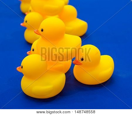 yellow rubber duck on blue background table