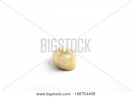Dental ceramic tooth crowns on white background. Isolated.