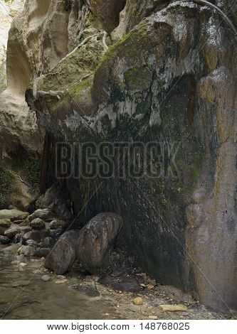Hard water flowing over moss causing Tufa Rock deposits Avakas Gorge Akamas Peninsula Cyprus