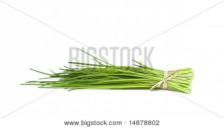 fresh tied chives