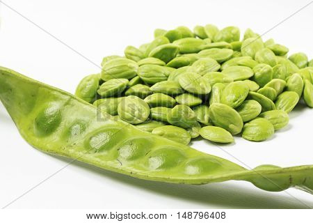 Parkia speciosa white background .Parkia seed with intense odor. But the most popular eating.