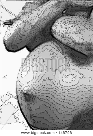 Contour mave