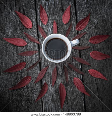 Coffee cup on green leaves background Flat lay. natural
