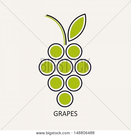 green bunch of grapes. vine. vector illustration.