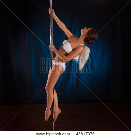 Studio Photo On A Pole Dancer