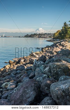 A view of Mount Rainier from Ruston Washington.