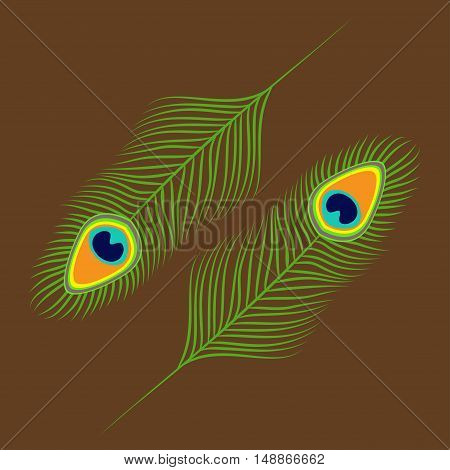 Peacock feather set collection. Exotic tropical bird colorful tail. Isolated. Brown background. Flat design. Vector illustration