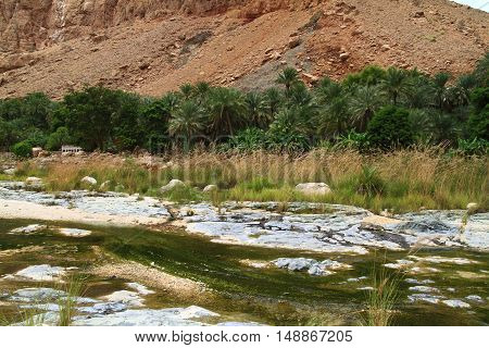 Wadi Tiwi