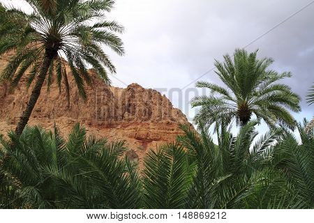 Wadi Tiwi