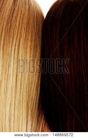 Long hair. Hairstyle. Hair salon. Woman with healthy hair.