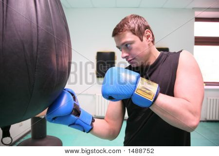 Boxer