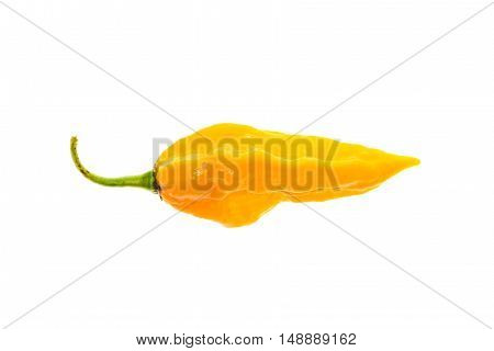 Ripe Fresh Fatalii Yellow Chili Hot Pepper With Green Stem
