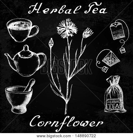 Cornflower hand drawn sketch botanical illustration. Utensils for tea. Vector illustation. Medical herbs. Effect of chalk board. Grunge background