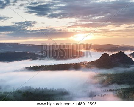 Summer Sunrise Forest After Heavy Rain. Beautiful Mountain Within Inversion.