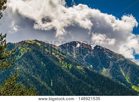 the snow-capped mountain peaks covered with forest against the blue sky