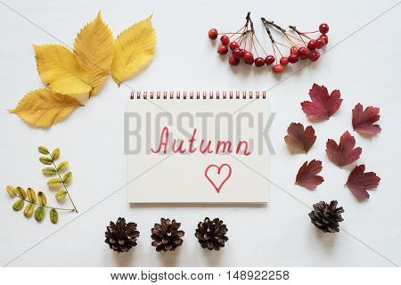 Autumn yellow and red leaves, small red apples, rennet, cones, and a notebook on a white board. The word Autumn is written in the notebook.