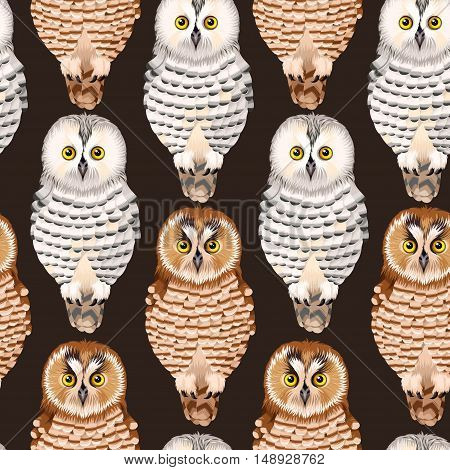 Forest owls and polar owls vector seamless background