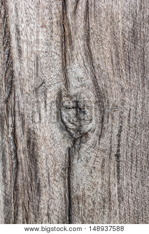 The Wood texture background Naturally occurring beautiful