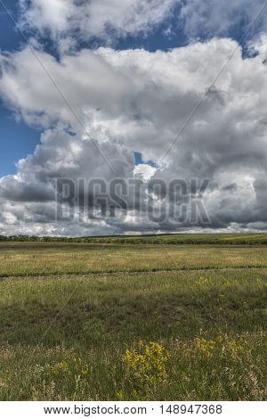 Landscape with the sky in the Siberian steppe
