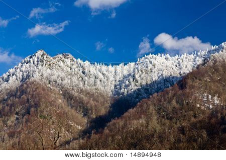 Skorstenen toppe i sne i Great Smoky Mountains