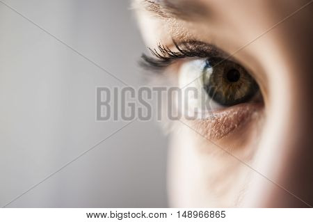 brown eye of a girl looking in front of you