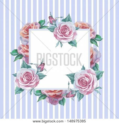 Wildflower rose flower frame in a watercolor style isolated. Full name of the plant: rose platyrhodon rosa. Aquarelle flower could be used for background texture pattern frame or border.