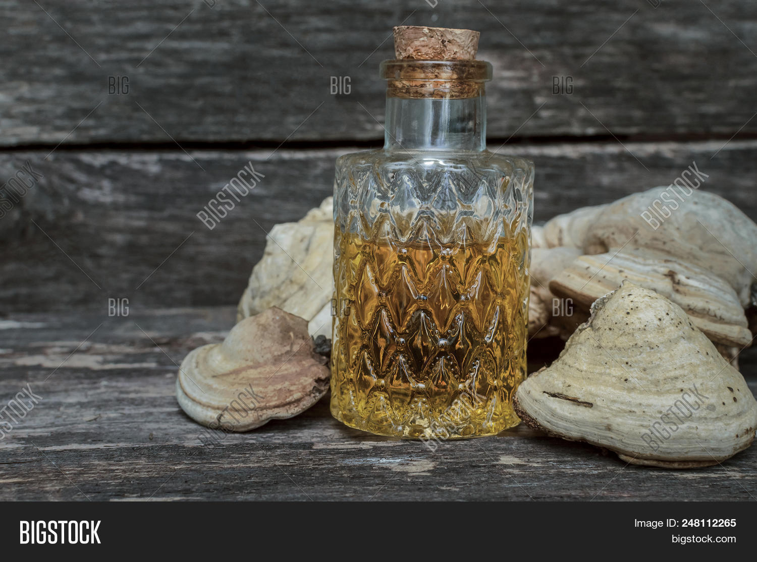 Настойка чага березовый гриб. Чага березовая настойка. Чайный гриб чага. Чага. Бефунгин чага.