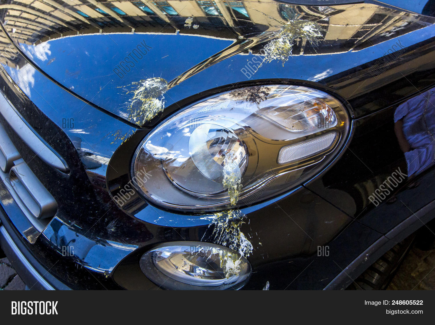 Bird Droppings On Car Image & Photo (Free Trial) Bigstock