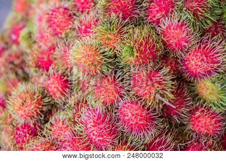 Fresh Rambutan, Negrito, Semang, Sweet Thai Fruit