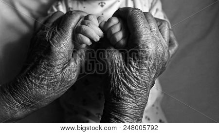 Baby Hands In Great-grandmother Hands. Great-grandmother And Her Great-grandson. Happy Family Concep