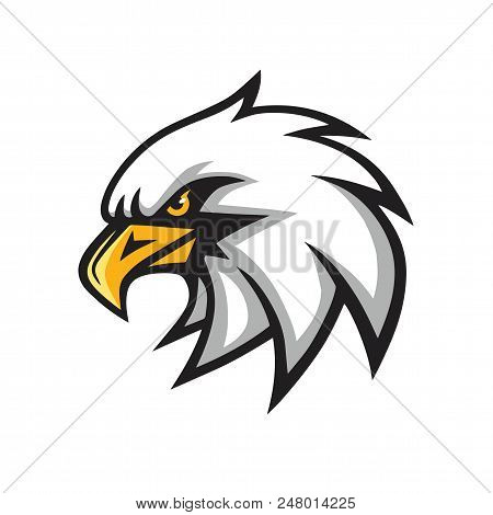 Eagle Mascot Vector Logo Sign Icon Illustration