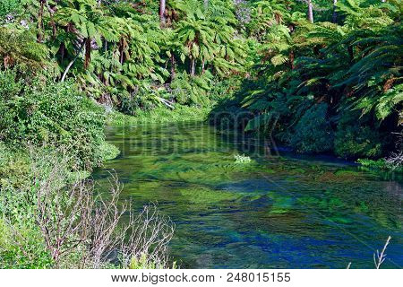 River Surrounded In Lush Green Scenery In New Zealand