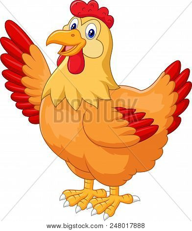 Chicken Hen Waving Hand On White Background