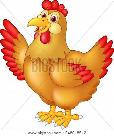 Chicken Hen Waving Hand On White Background