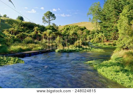 A River In The Early Morning In Waikato, New Zealand