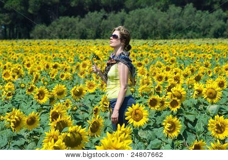 Zonnebloem veld