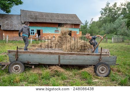 Litynia Village, Ukraine - June 02, 2018: Two Young Boys Throw Hay Out Of A Cart, Stocking Hay For L