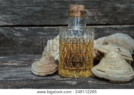 Chaga (shelf Fungus) Mushroom Medicinal Tincture On Wooden Background. Naturopathy. Alternative Medi