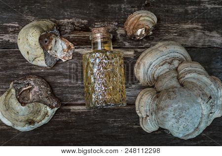 Chaga (shelf Fungus) Mushroom Medicinal Tincture On Wooden Background. Naturopathy. Alternative Medi