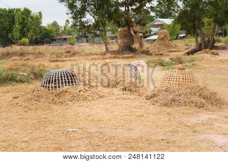 Thai Style.fighting Cock Coop, Bamboo House For Chicken