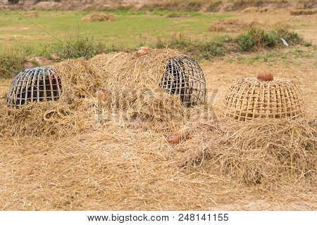 Thai Style.fighting Cock Coop, Bamboo House For Chicken
