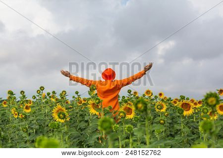 Man in orange clother in sunner sunflowers field