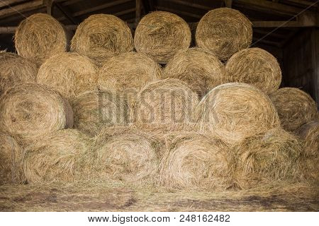 Dry-hay Warehouse For Pet Food, Storage Of Hay
