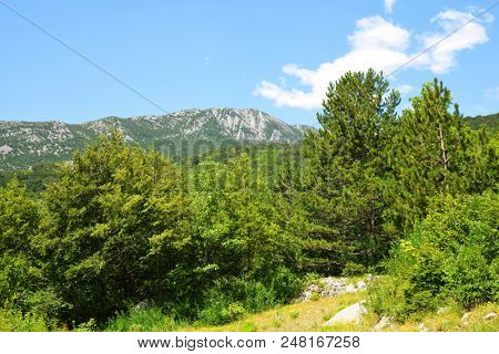 View on Velebit mountains in National Park Paklenica, Croatia.