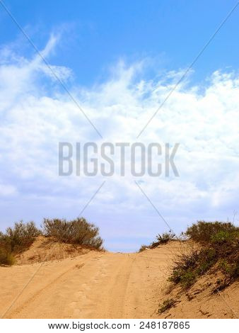 Road Among Sand Dunes With Low Bushes And Traces Of Cars, People And Animals In The Vicinity Of Holo